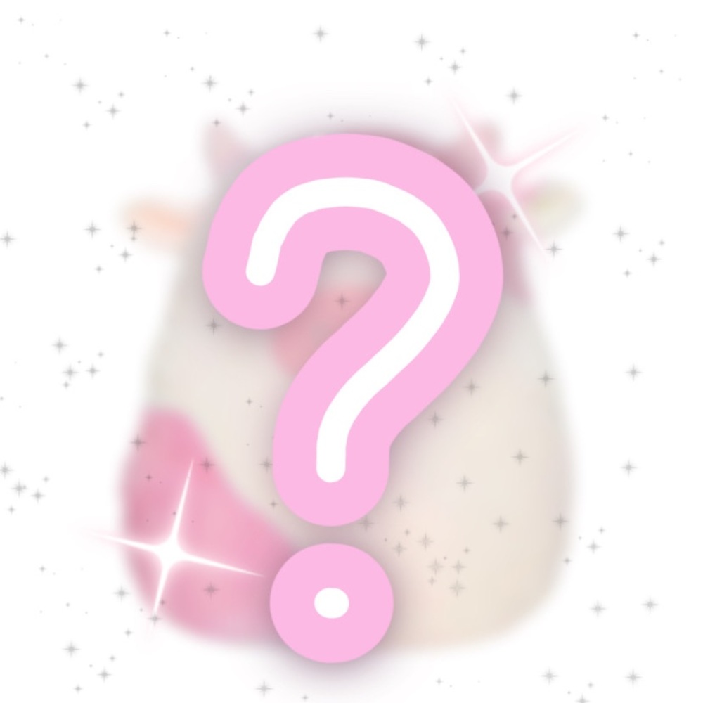 MYSTERY SQUISHMALLOW!!